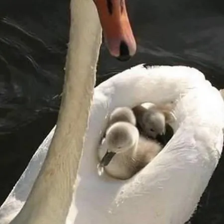 Maly Port-ilawa - Jezioro - Plaza - Marina Priv - 5 Pokoi Vip - Czysto Na 10