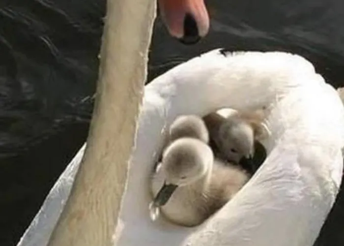 Maly Port-ilawa - Jezioro - Plaza - Marina Priv - 5 Pokoi Vip - Czysto Na 10