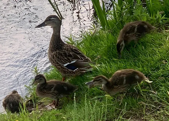 Maly Port-ilawa - Jezioro - Plaza - Marina Priv - 5 Pokoi Vip - Czysto Na 10 * Ilawa